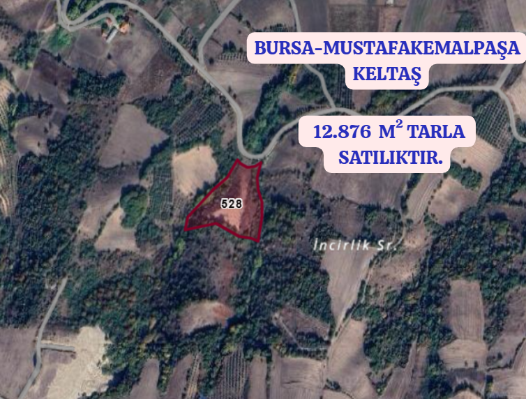 BURSA MUSTAFAKEMALPAŞA KELTAŞ KÖYÜNDE  12.876  M² TARLA SATILIKTIR. - BURSA MUSTAFAKEMALPAŞA fotoğraf 2