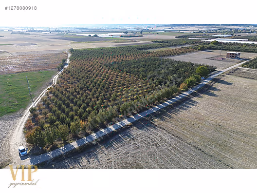 VİP GAYRİMENKUL'den BAYRALAR MAH. 29.648 m² ELMA-ARMUT BAHÇESİ - ANTALYA ELMALI fotoğraf 10