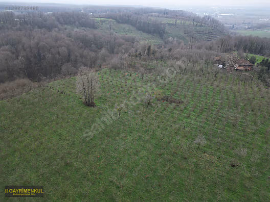 HENDEK SÜLEYMANİYE'DE EŞİ BENZERİ OLMAYAN 16.365 M² KÖYİÇİ ARSA - SAKARYA HENDEK fotoğraf 35