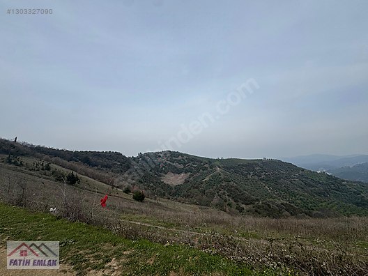 GEMLİK MURATOBA KÖYÜNDE 4695m² SATILIK ZEYTİNLİK - BURSA GEMLİK fotoğraf 20