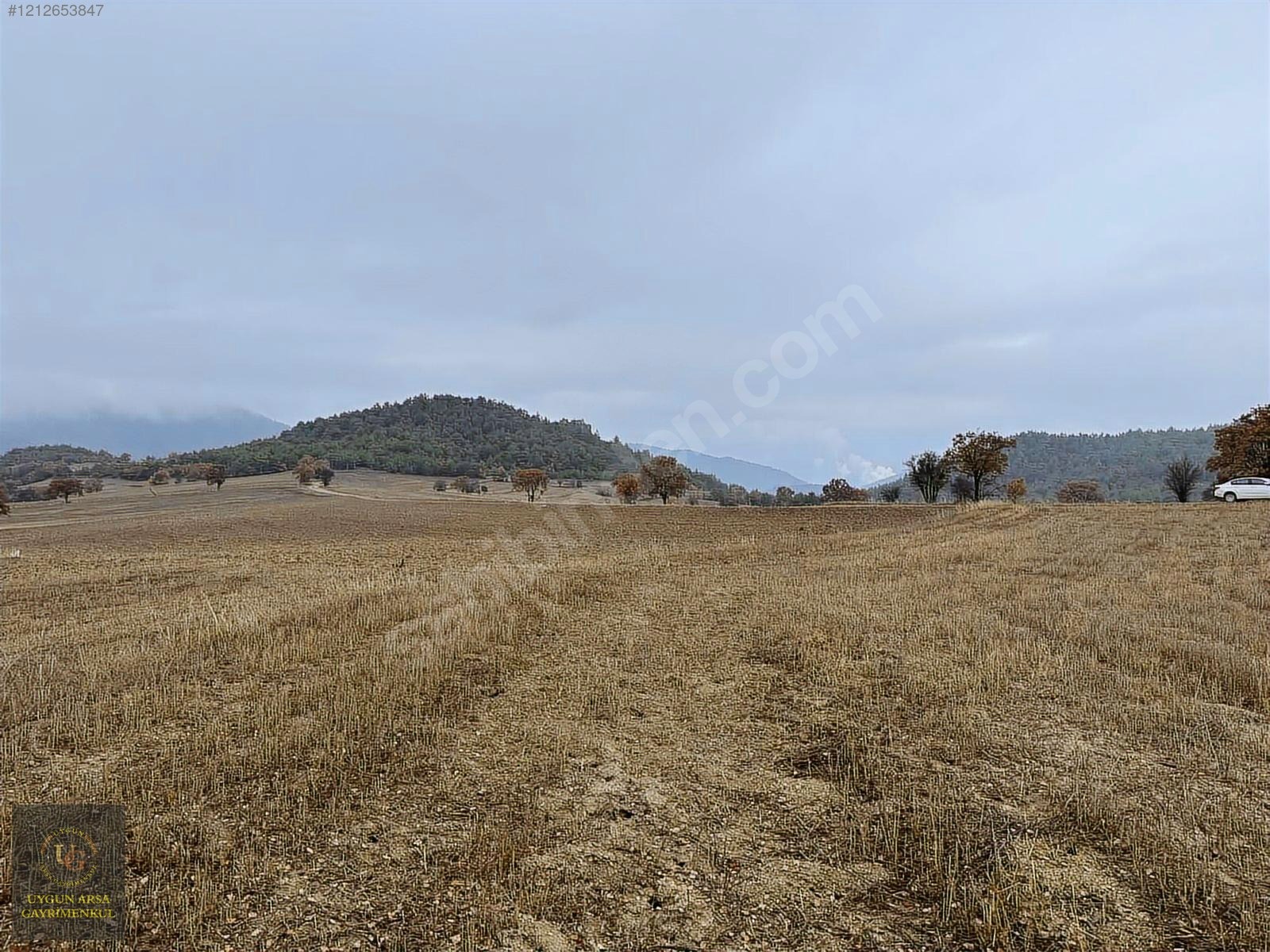 BOLU GÖYNÜK KARAARDIÇ'TA 4.921 M2 UYGUN ARSA - BOLU GÖYNÜK fotoğraf 14