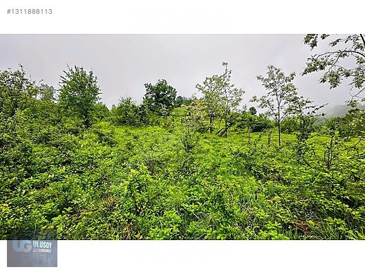 14 DÖNÜM TEK TAPU - BARTIN MERKEZ fotoğraf 17