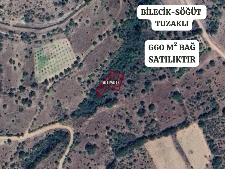 BİLECİK SÖĞÜT TUZAKLI  KÖYÜNDE 660 M² BAĞ  SATILIKTIR - BİLECİK SÖĞÜT fotoğraf 2