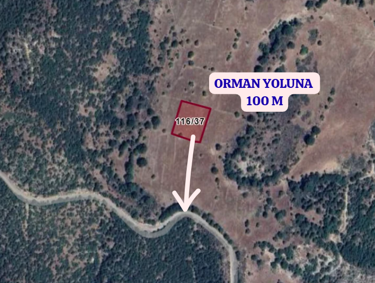 KÜTAHYA SİMAV YAVI   KÖYÜNDE 2.043 M² TARLA  SATILIKTIR - KÜTAHYA SİMAV fotoğraf 3