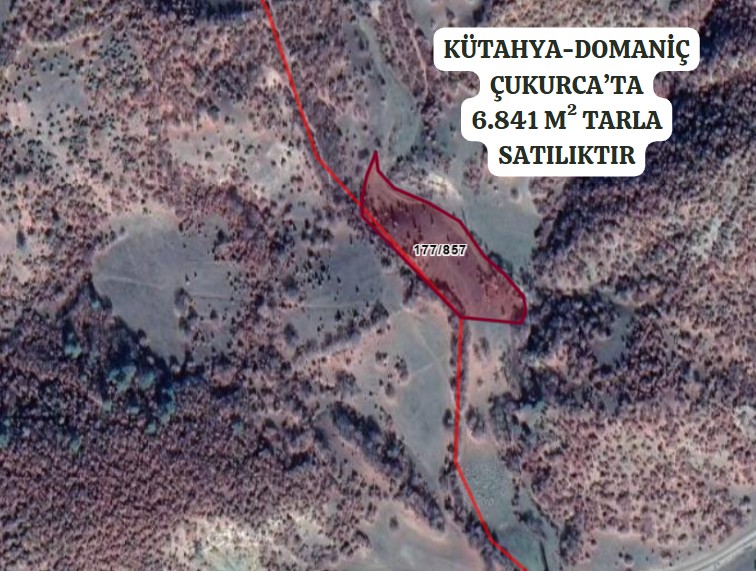 KÜTAHYA DOMANİÇ ÇUKURCA/ILICAKSU KÖYÜ’NDE 6.841 M² TARLA SATILIKTIR - KÜTAHYA DOMANİÇ fotoğraf 2