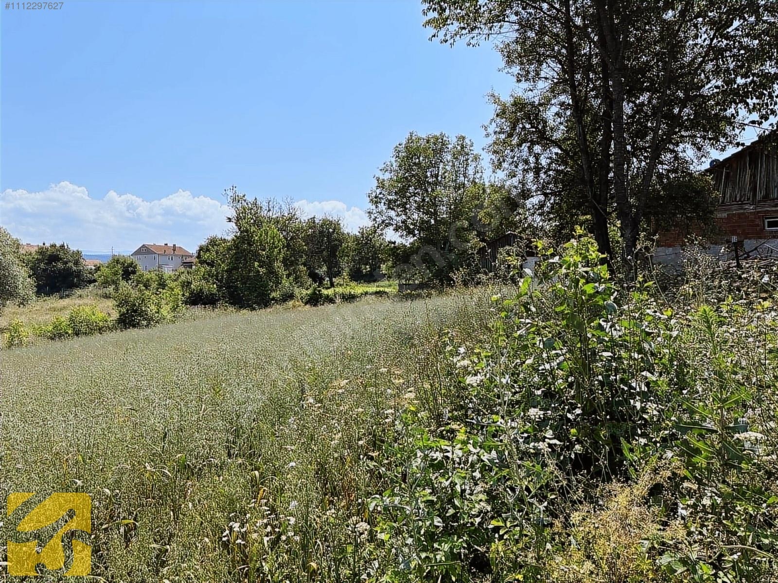 BOLU MERKEZ YUMURKAYA DA 2.900 METREKARE SATILIK TARLA - BOLU MERKEZ fotoğraf 15