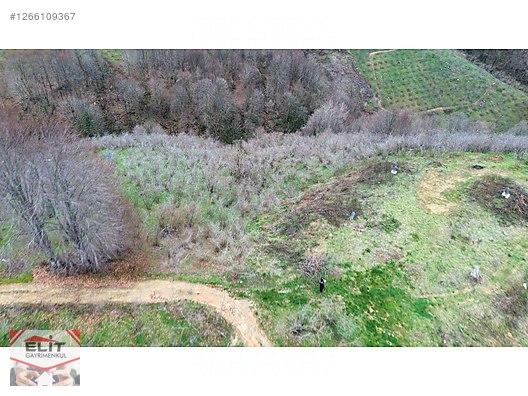 DÜZCE AKÇAKOCA DA EV YAPIMINA UYGUN SATILIK 7.768 M2 FINDIKLIK - DÜZCE AKÇAKOCA fotoğraf 37
