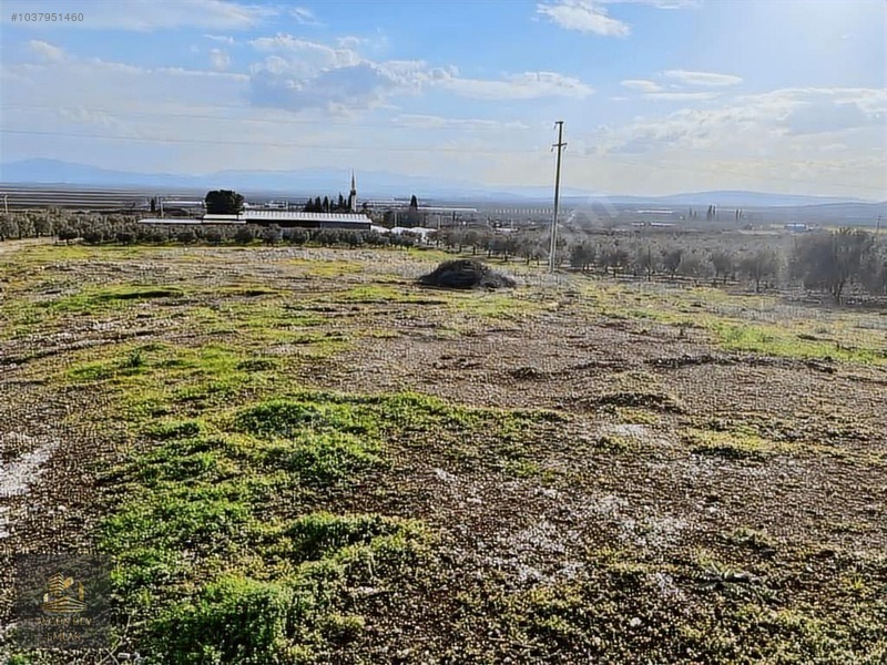Karahöyük Dağı Yeni Organize Sanayi Bölgesi Yanında - MANİSA AKHİSAR fotoğraf 8