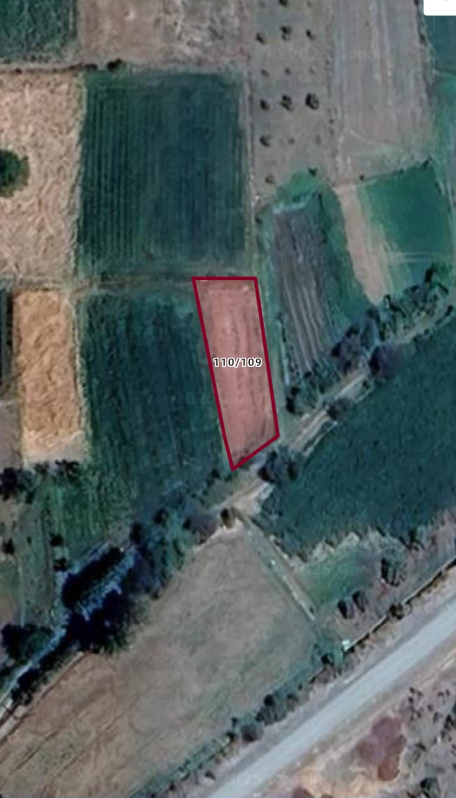 DENİZLİ ACIPAYAM KURTLAR MH. 388M² TARLAMIZ SATILIK - DENİZLİ ACIPAYAM fotoğraf 4