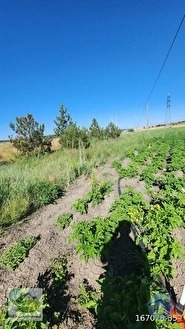 🚨 KÜTAHYA'DA ANAYOLA CEPHELİ 6.152 M² VERİMLİ TARLA 🚨 - KÜTAHYA MERKEZ fotoğraf 33
