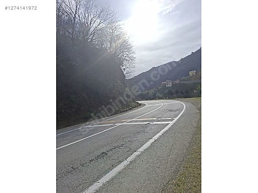 TİREBOLU KUZGUN KÖYÜNDE ANA YOLA CEPHE FINDIK BAHÇESİ - GİRESUN TİREBOLU fotoğraf 4
