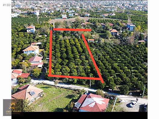 TOPARLARDA , YERLEŞİM ALANINDA SATILIK - MUĞLA KÖYCEĞİZ fotoğraf 3