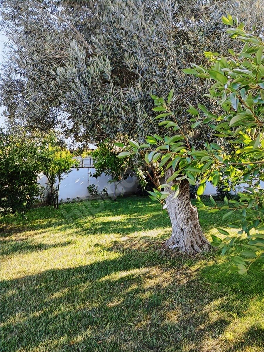 DOSTLAR GAYRİMENKUL DEN SÜLEYMANLI DA ARSA - MANİSA AKHİSAR fotoğraf 20