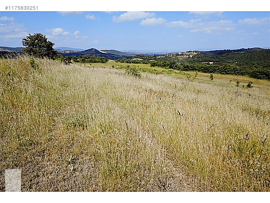ÇANAKKALE BAYRAMİÇ MURATLAR KÖYÜ 45.000 m2 TARLA - ÇANAKKALE BAYRAMİÇ fotoğraf 10