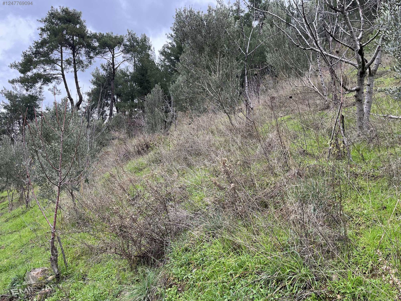 EMİR GAYRİMENKUL'DEN KEMALPAŞA YUKARIKIZILDA 3675 m2 BAHÇE - İZMİR KEMALPAŞA fotoğraf 3