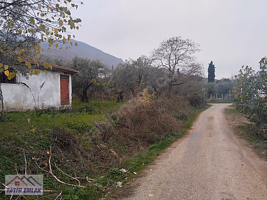 Orhangazi Gemiç Köyü Mahallesi köy içi arsa - BURSA ORHANGAZİ fotoğraf 5