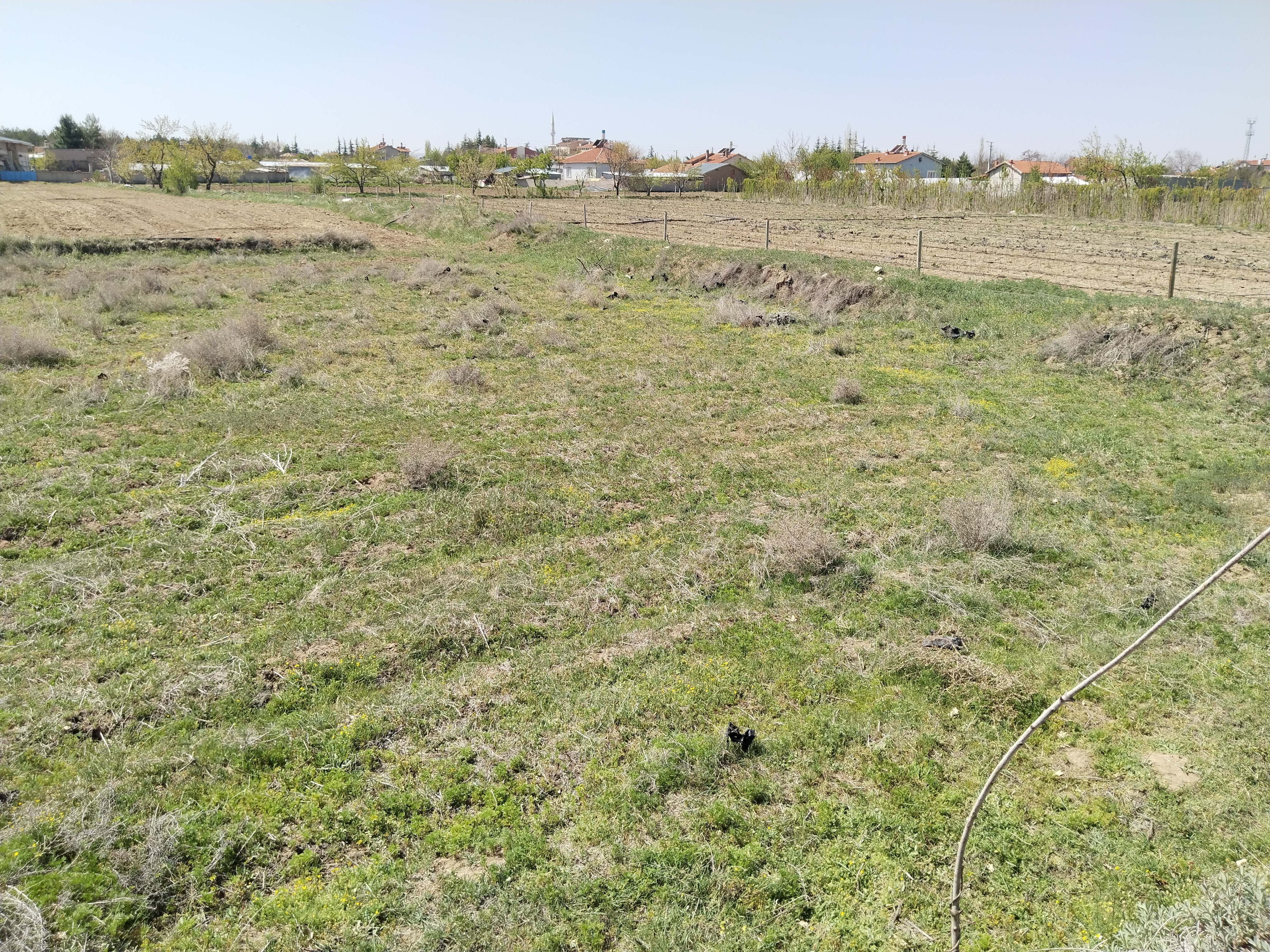 KONYA ÇUMRA ALİBEYHÜYÜĞÜ  KÖYÜNDE  272  M² BAĞ SATILIKTIR - KONYA ÇUMRA fotoğraf 9