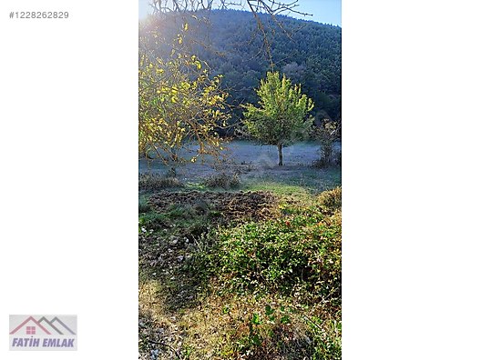 FATİH'TEN HAYDARİYEDE 1295m2 ASFALTA CEPHE MÜSTAKİL PARSEL ARSA - BURSA GEMLİK fotoğraf 7