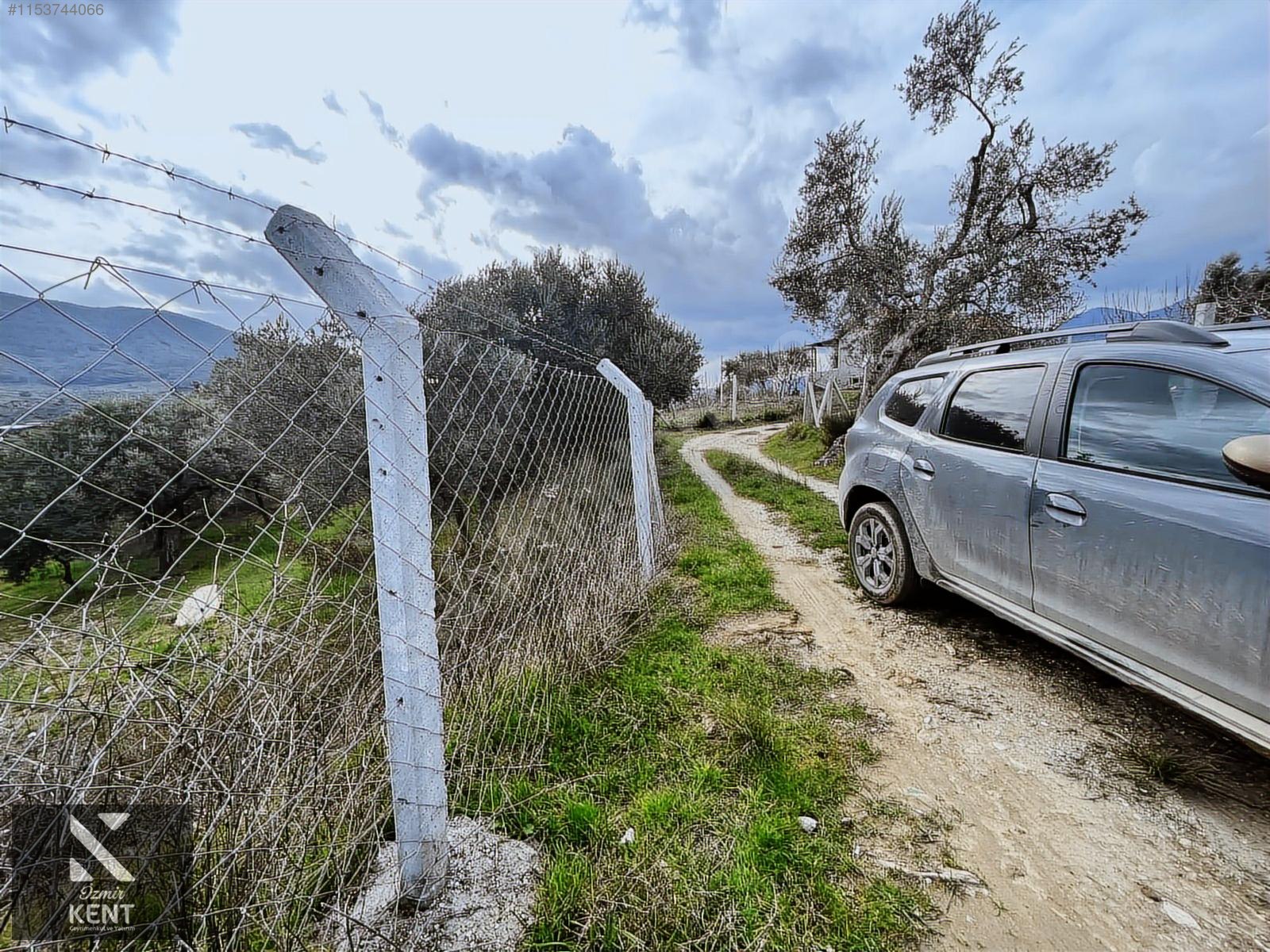 Kemalpaşa Gökyaka Satılık 2700 m2 Bahçe - İZMİR KEMALPAŞA fotoğraf 18