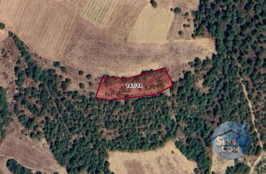 SAKARYA GEVYE GÜNHOŞLAR  KÖYÜNDE  3.908 VE 2.068 M² TARLA  SATILIKTIR - SAKARYA GEYVE fotoğraf 6