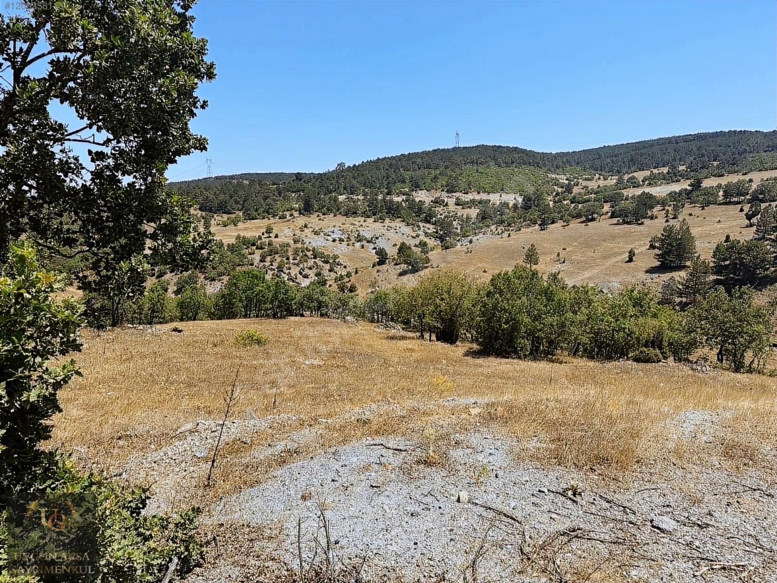 KÜTAHYA TAVŞANLI ANA YOLA CEPHE 6.466M2 UYGUN ARSA - KÜTAHYA TAVŞANLI fotoğraf 15