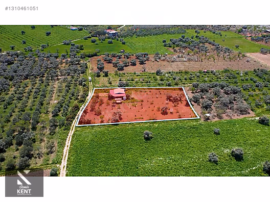 Kemalpaşa Halilbeylide Satılık 3000 m2 Bahçe 40 m2 Ev - İZMİR KEMALPAŞA fotoğraf 27