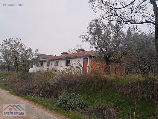 Orhangazi Gemiç Köyü Mahallesi köy içi arsa - BURSA ORHANGAZİ fotoğraf 3