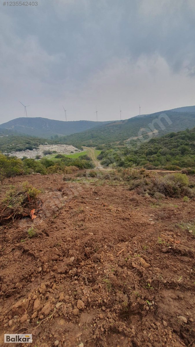 KARABURUN EĞLANHOCA'DA FIRSAT FİYAT 8 DÖNÜM TARLA - İZMİR KARABURUN fotoğraf 6