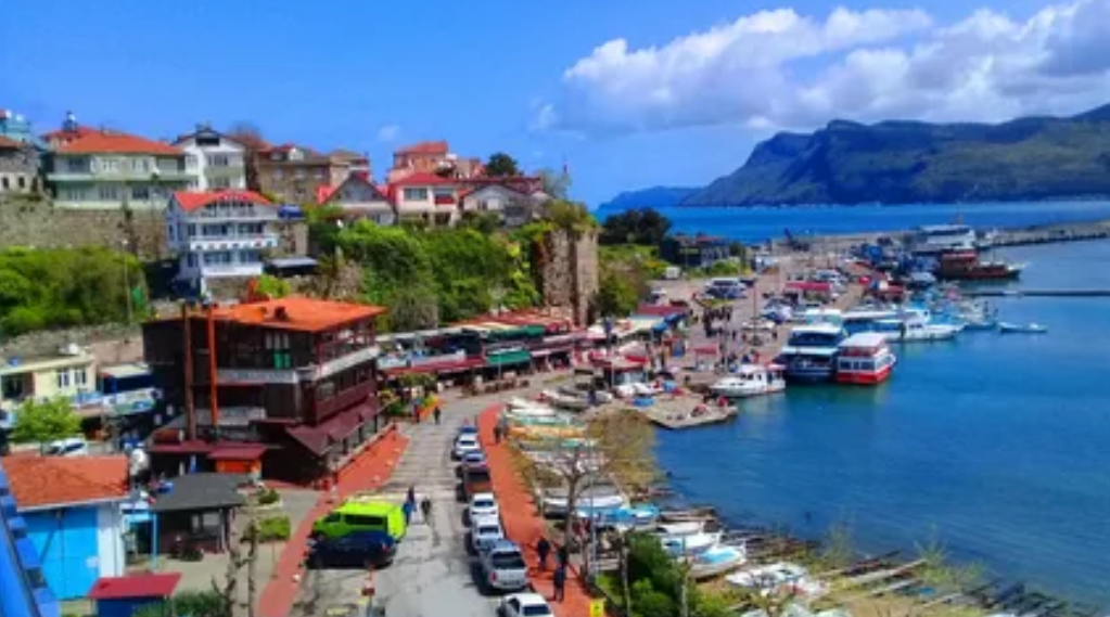 BARTIN ULUS ÇERDE KÖYÜ'NDE 1.183 M² TARLAMIZ SATILIKTIR - BARTIN ULUS fotoğraf 7