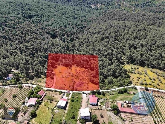 KUŞADASI KİRAZLI KÖYÜ’NDE SATILIK 6152 M2 TARLA - AYDIN KUŞADASI fotoğraf 8