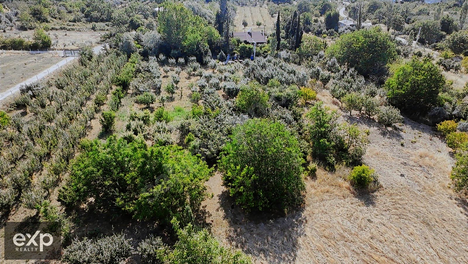 eXp'den Geyve Hırka'da 710 m2 Fındıklık Bahçe - SAKARYA GEYVE fotoğraf 4