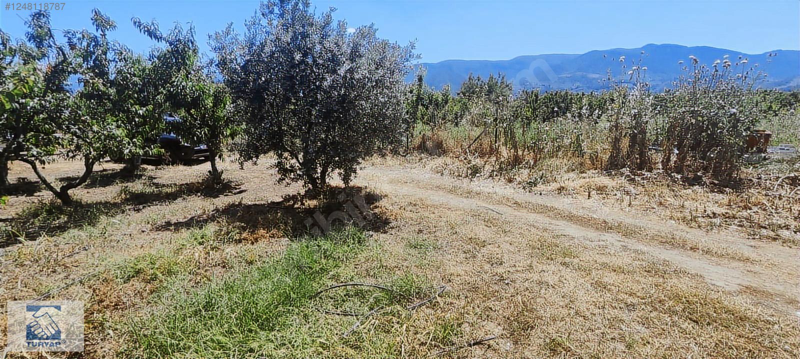 Kemalpaşa Örende 1234 M2 Satılık Müstakil Bahçe - İZMİR KEMALPAŞA fotoğraf 2