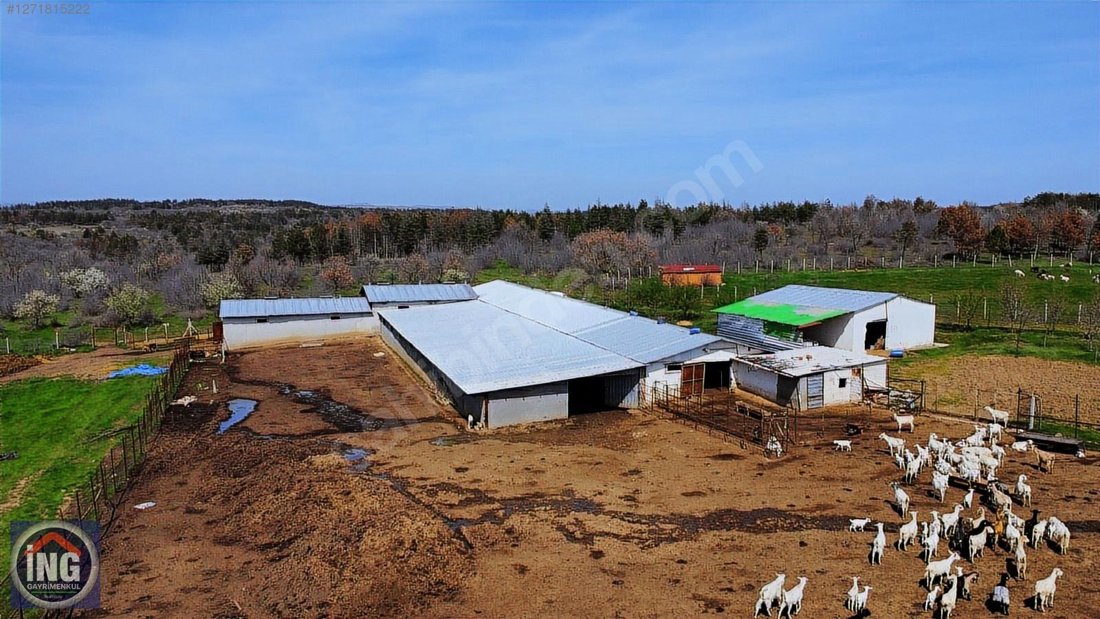 KIRKLARELİ YÜNDALAN'DA HAZIR KURULU RUHSATLI 18 DÖNÜM ÇİFTLİK - KIRKLARELİ MERKEZ fotoğraf 8
