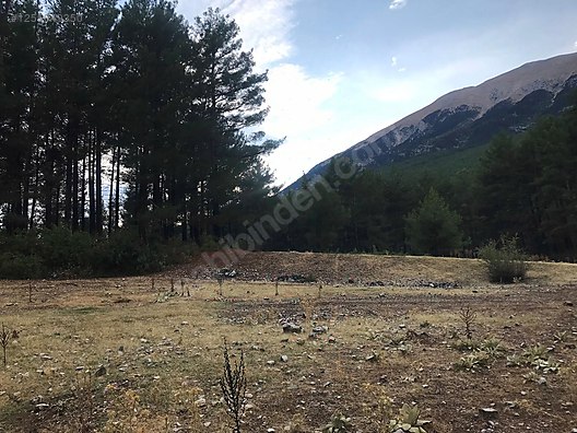 Antalya / Kumluca / Karacaören Mahallesinde 2.492 m² SATILIK ARSA - ANTALYA KUMLUCA fotoğraf 4