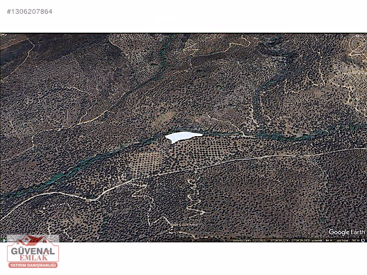 MİLAS BAFA'TA SATILIK ZEYTİNLİK - MUĞLA MİLAS fotoğraf 7