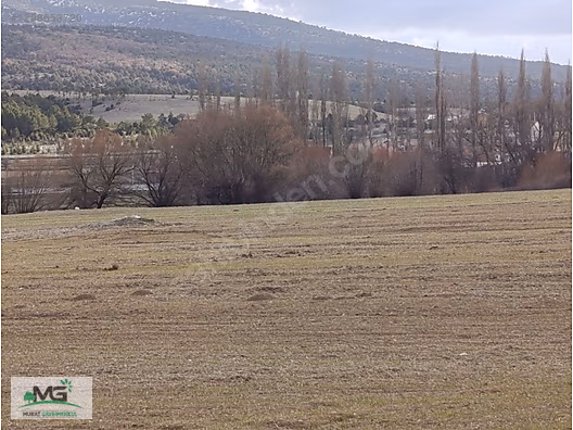 KÜTAHYA ALTINTAŞ PINARCIK KÖYÜ KELEPİR ARSA TARLA ARAZİ - KÜTAHYA ALTINTAŞ fotoğraf 18
