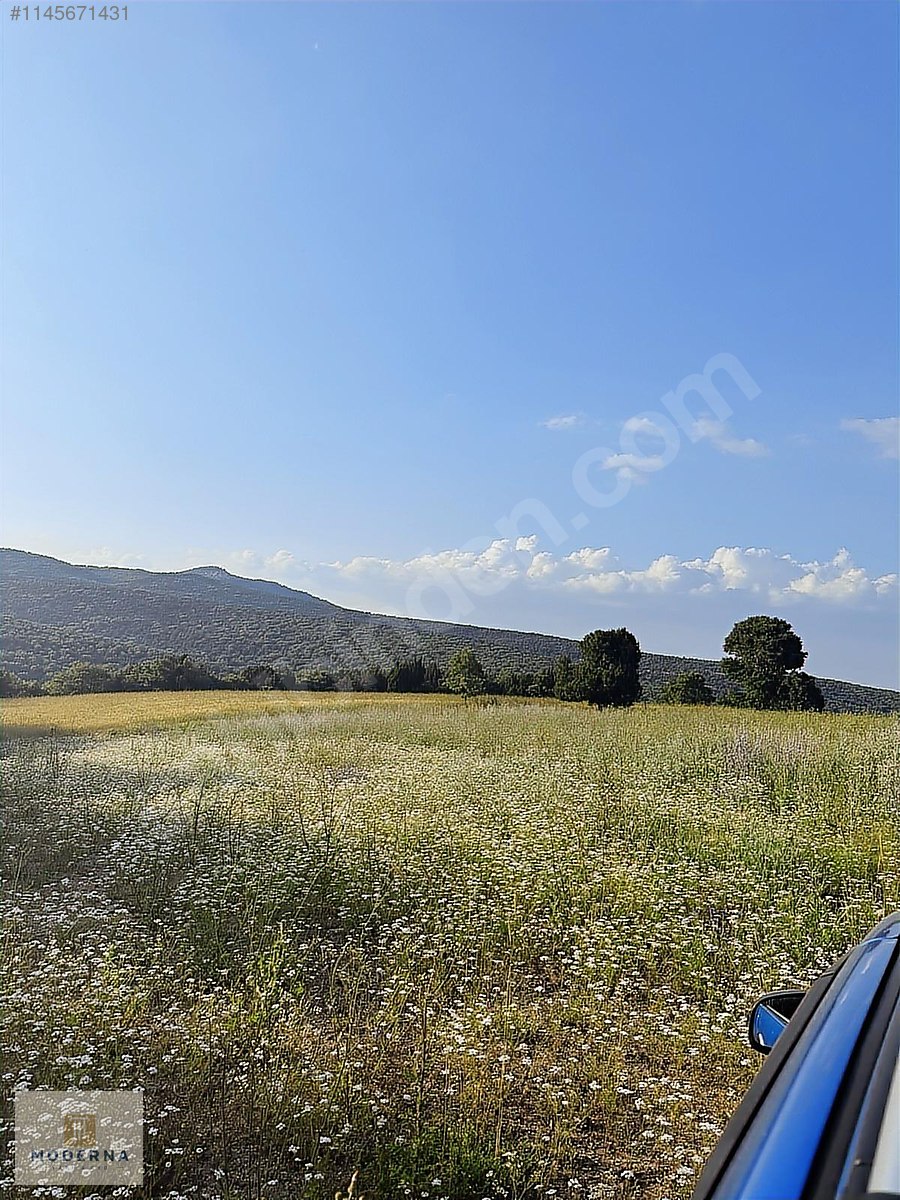 KÜTAHYA MERKEZ KİREÇÇİFLİĞİ MANZARALI 1477 M2 TAM HİSSE TARLA! - KÜTAHYA MERKEZ fotoğraf 8