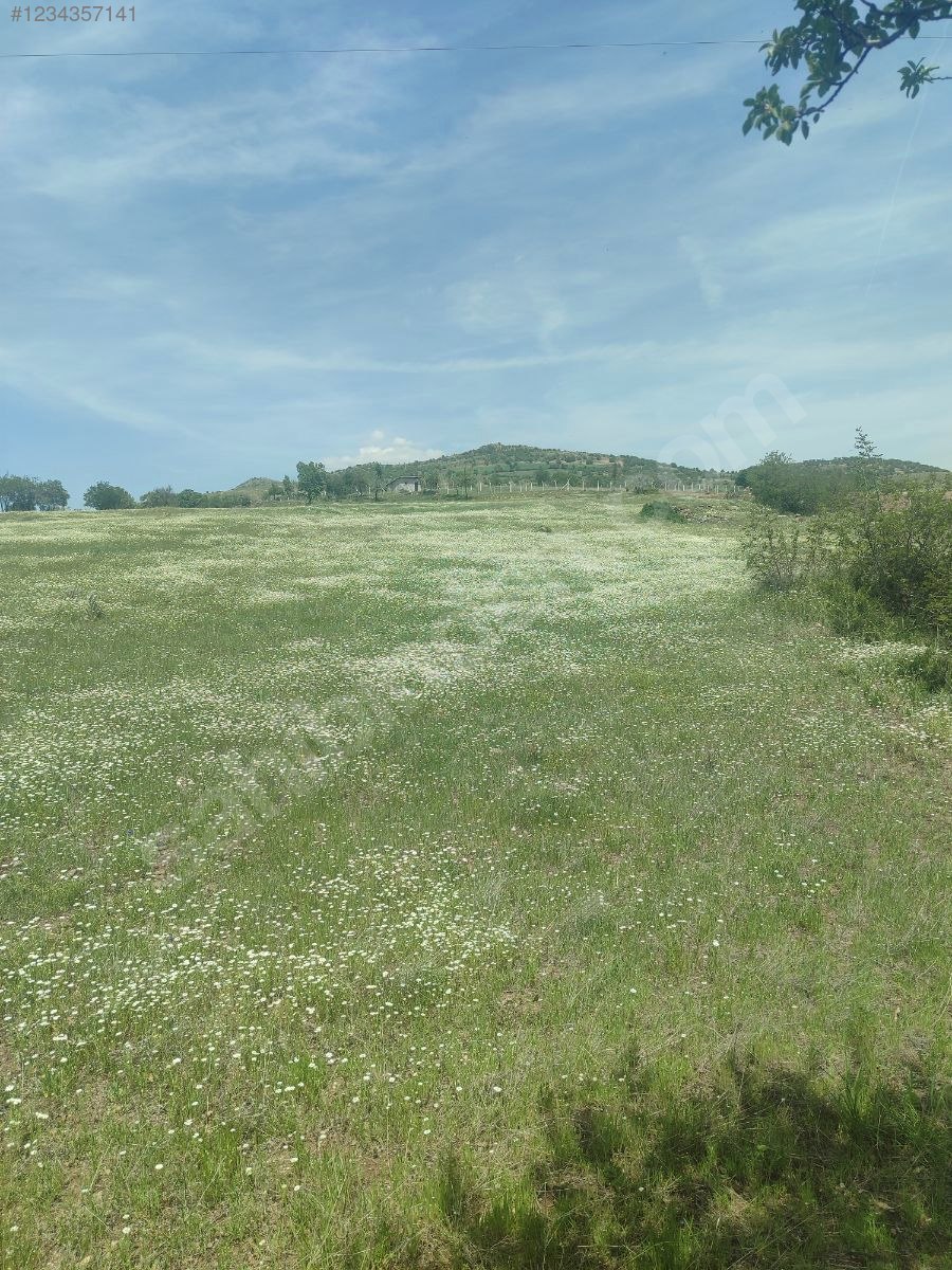 ANKARA ÇUBUK KARADANA  KÖYÜNDE 14.000 M² TARLA SATILIKTIR - ANKARA ÇUBUK fotoğraf 8