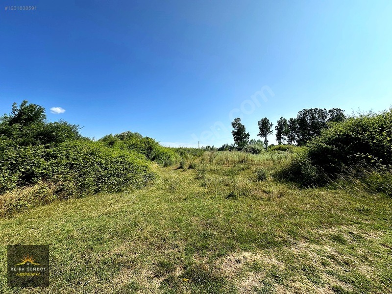 KARASU KUZULUK MAHALLESİNDE SATILIK 7.170 M2 TARLA - SAKARYA KARASU fotoğraf 13