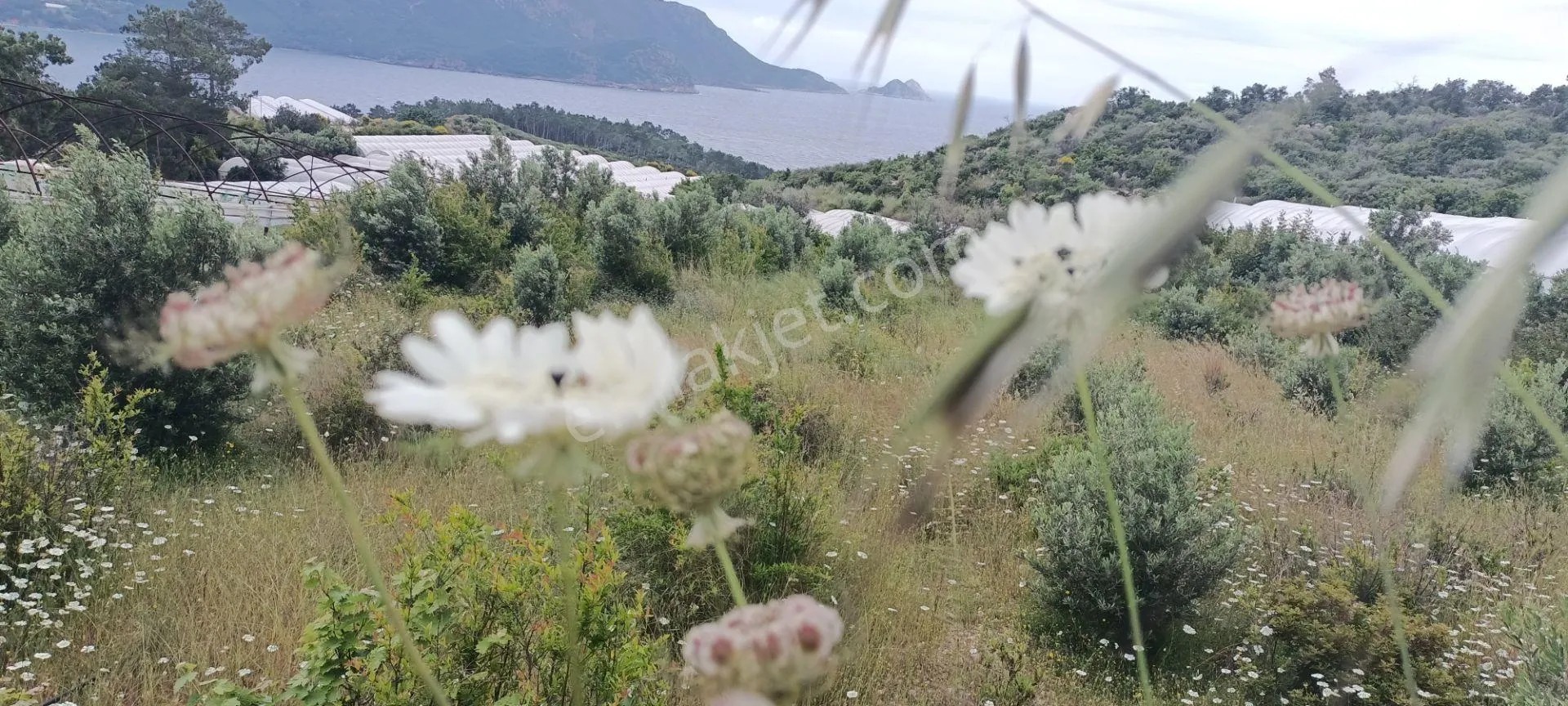 Kumluca Yenicepınar Da Deniz Manzaralı Satılık Arsa-tarla - ANTALYA KUMLUCA fotoğraf 24