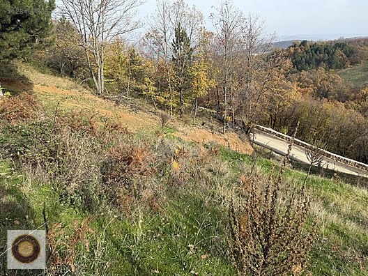 KESTEL LÜTFIYE MH SATILIK 1806M2 TARLA ASVALT YOLA CEPHE - BURSA KESTEL fotoğraf 34