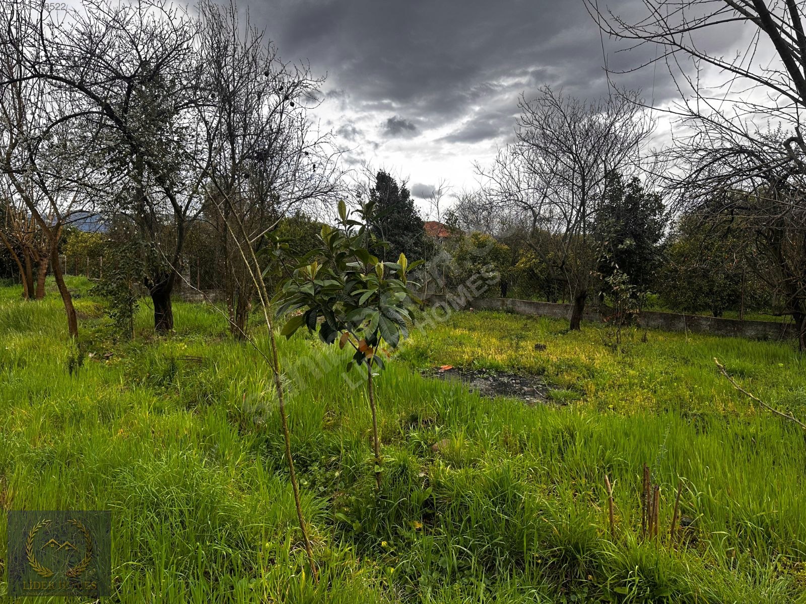 Muğla Köyceğiz Toparlarda Yapı Kayıt Belgeli Ev ve ARAZİ 1.364M - MUĞLA KÖYCEĞİZ fotoğraf 6