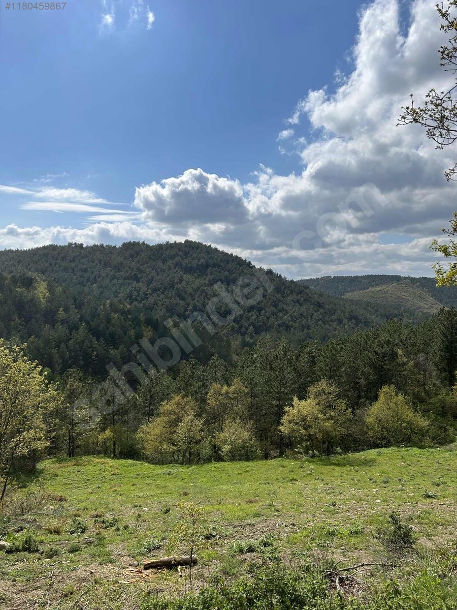 BURSA İZNİK GÜRMÜZLÜ  KÖYÜNDE 3.300 M² TARLA SATILIKTIR - BURSA İZNİK fotoğraf 5