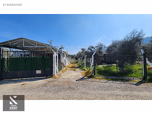 Kemalpaşa Ören Satılık Zeytinlik 1.230 m2 - İZMİR KEMALPAŞA fotoğraf 36