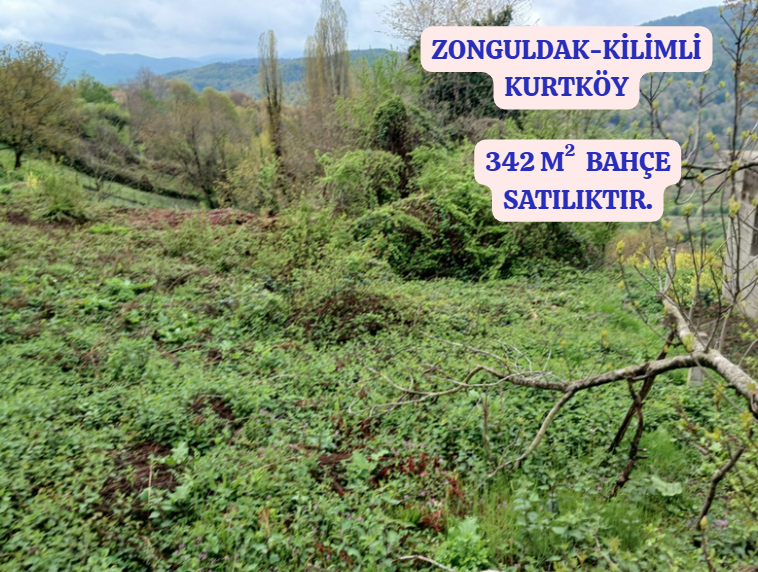       ZONGULDAK KİLİMLİ KURTKÖY DE 342M² BAHÇEMİZ SATILIKTIR - ZONGULDAK KİLİMLİ fotoğraf 2