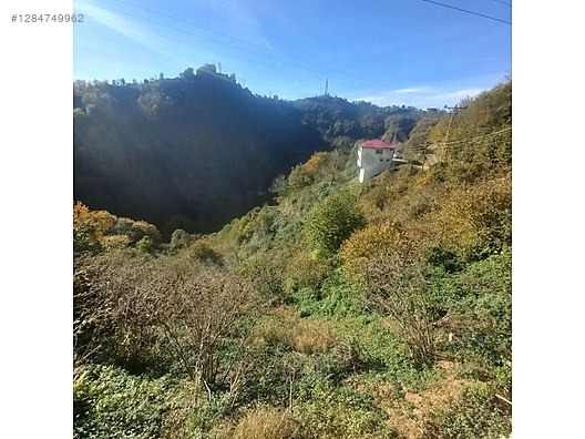 TİREBOLU CİVİL KÖYÜNDE SATILIK İÇİNDE EV OLAN FINDIK BAHÇESİ - GİRESUN TİREBOLU fotoğraf 4