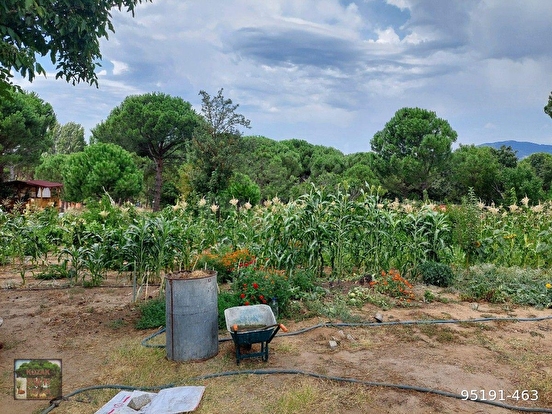 BERGAMA KOZAK YUKARIBEY MAH DE 4750 M2 BAĞ - İZMİR BERGAMA fotoğraf 2