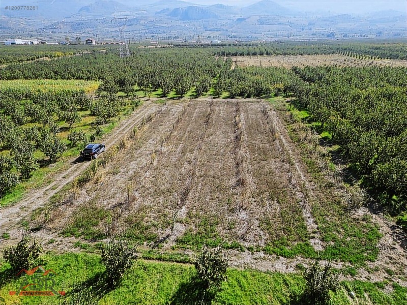 SAKARYA GEYVE UMURBEY MAH. 2444,26 M2 SATILIK TARLA - SAKARYA GEYVE fotoğraf 3