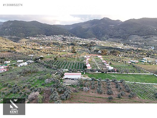Kemalpaşa Gökyaka Satılık 11.511 m2 Bağ - İZMİR KEMALPAŞA fotoğraf 29