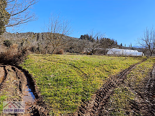 GEMLİK MURATOBA KÖYÜ 1134m² İMARLI SATILIK BAHÇE - BURSA GEMLİK fotoğraf 22